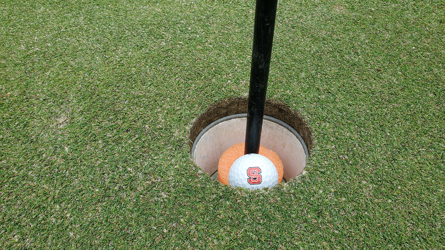 在朗尼普尔高尔夫球场的一个洞里的高尔夫球。