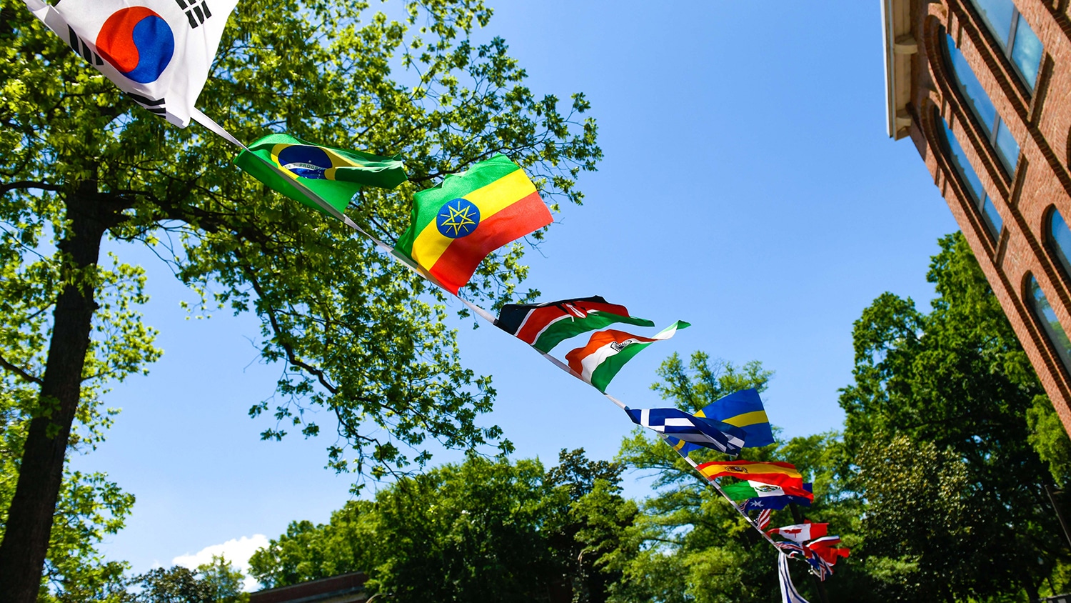全球庭院上悬挂着各国国旗的旗帜。