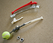 宙斯骨骼的原型和模型