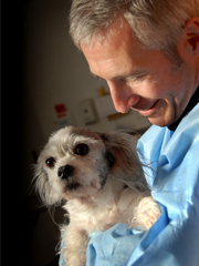 北卡罗来纳州立大学兽医学院