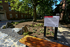 点击图片放大。