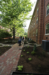 点击图片放大。