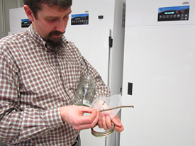 史蒂夫弗兰克在他的昆虫学实验室里。