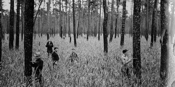 霍夫曼森林的档案照片，大约在1937年。
