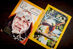 杂志的两个问题副本。