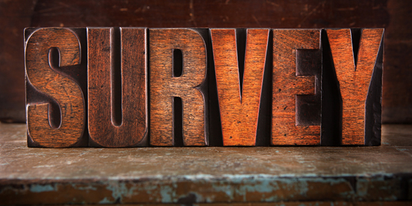 Letterpress version of letters spelling Survey.