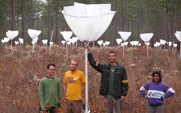 承认。你想知道这张照片发生了什么吗？（点击放大。）照片信用：尼克哈德德