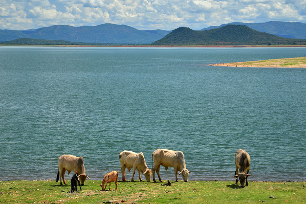 Masinga大坝水库。(点击放大)。图片:Thomas Roland, http://www.flickr.com/photos/thomasroland/