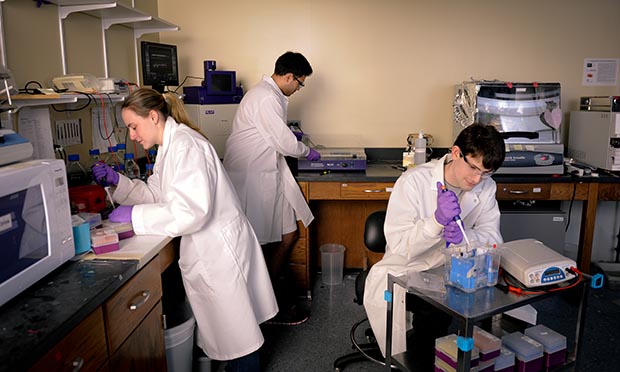 本科生Taylor Courtney, Vishwas Rao和Matthew Draelos在Gavin Williams的化学实验室工作。