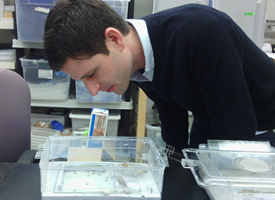 Penick-2-275