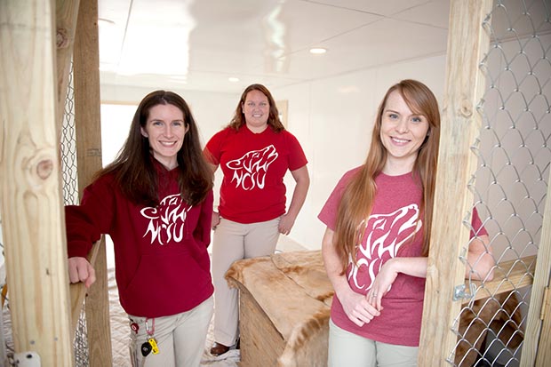 CVM食肉动物的团队