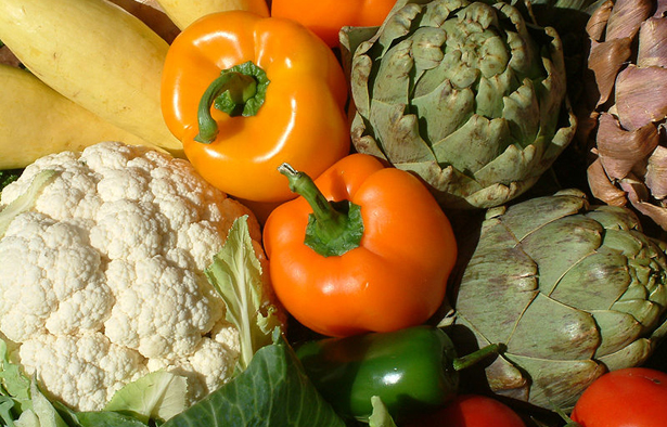 照片信用：达娜佩恩，通过Wikimedia Commons