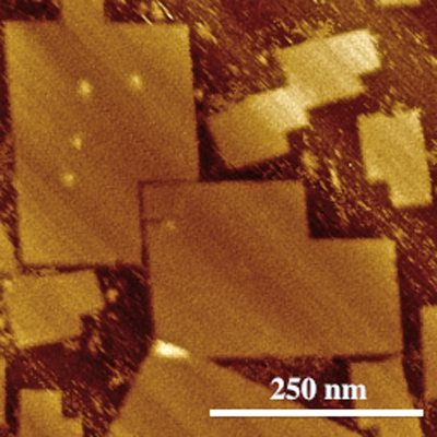 原子力显微镜成像的DNA折纸使用新技术(大的形状)和以前的技术(小的)。图片来源:亚历山大·马奇。