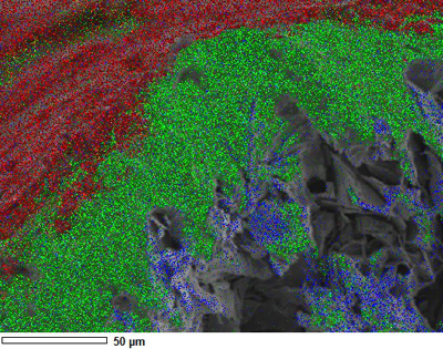 Energy dispersive x-ray spectroscopy image taken within a scanning electron microscope, illustrating a Bi2212 wire shown in blue and green, coated with the titania-based insulation shown in red. Image credit: Sasha Ishmael. Click to enlarge.