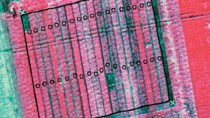 无人机拍摄的麦田红外航拍照片。