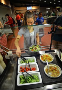 DietitiansDish嵌入