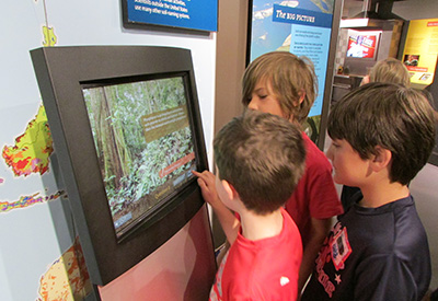 挖它!很受年轻博物馆参观者的欢迎。