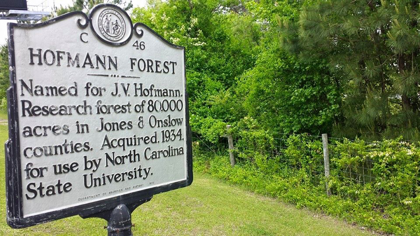 New Timber Contract Ensures Longterm Sustainability for Hofmann Forest