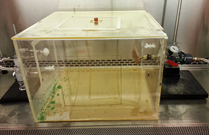 呕吐装置的侧视图。点击放大。照片信用：Grace Tung-Thompson。