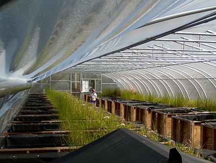 公爵的纳米技术环境影响的中心。信誉：本杰明espinasse。