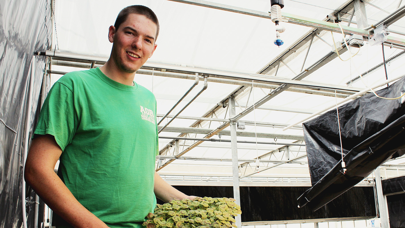 加州大学洛杉矶分校的毕业生奥斯汀·雷恩在北卡罗莱纳大学的一个温室里拿着植物。