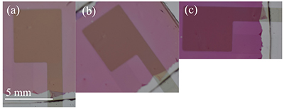 Close up view of the semitransparent polarization detector. The square area that shows up well is one of the gold electrodes, underneath which is the organic photovoltaic (OPV) material which converts polarized light into an electrical signal. In these images, the background light is linearly polarized. Rotating the detector within this polarized light reduces the transmitted light's brightness as the device is aligned to it. (a) OPV device at 0 degrees; (b) 45 degrees; and (c) 90 degrees. At 90 degrees, the device absorbs the most light, indicating that the background polarization state is oriented parallel to the OPV. This change would be represented as an increase in the detected current. Click to enlarge.