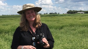 Heike Sederoff，植物和微生物生物学副教授。