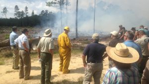 北卡罗莱纳州协助北卡罗莱纳州林务局进行规定的烧伤。