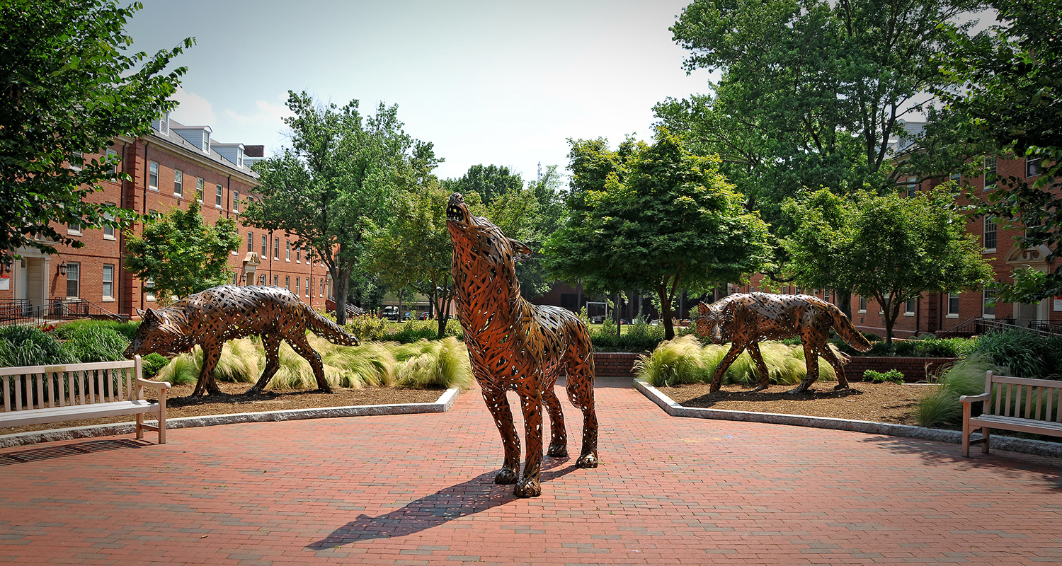 狼雕象全景在砖广场的在NC状态。