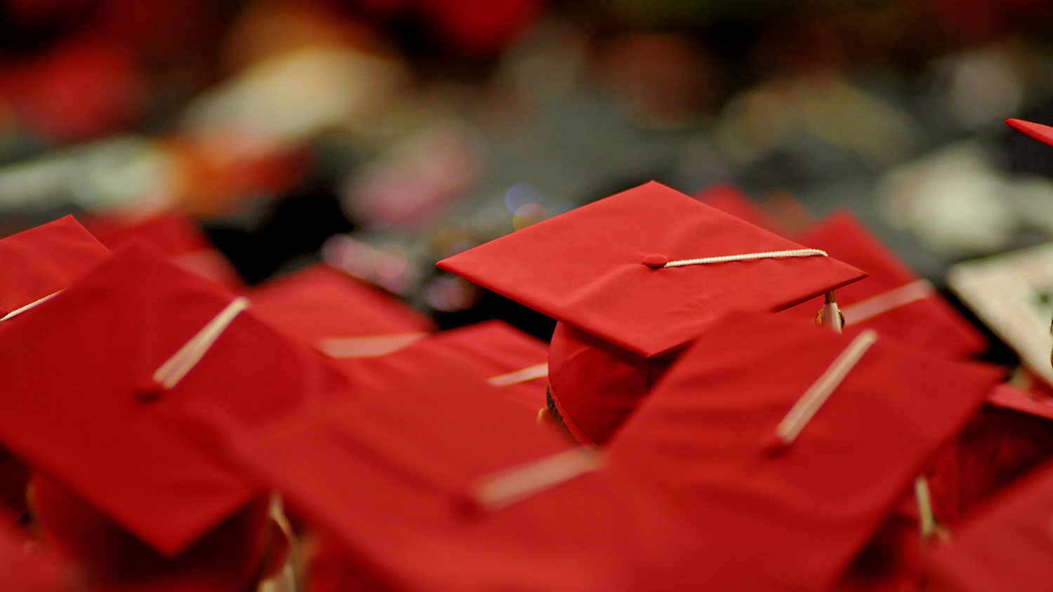 从上往下看的毕业典礼上的红色学士帽。