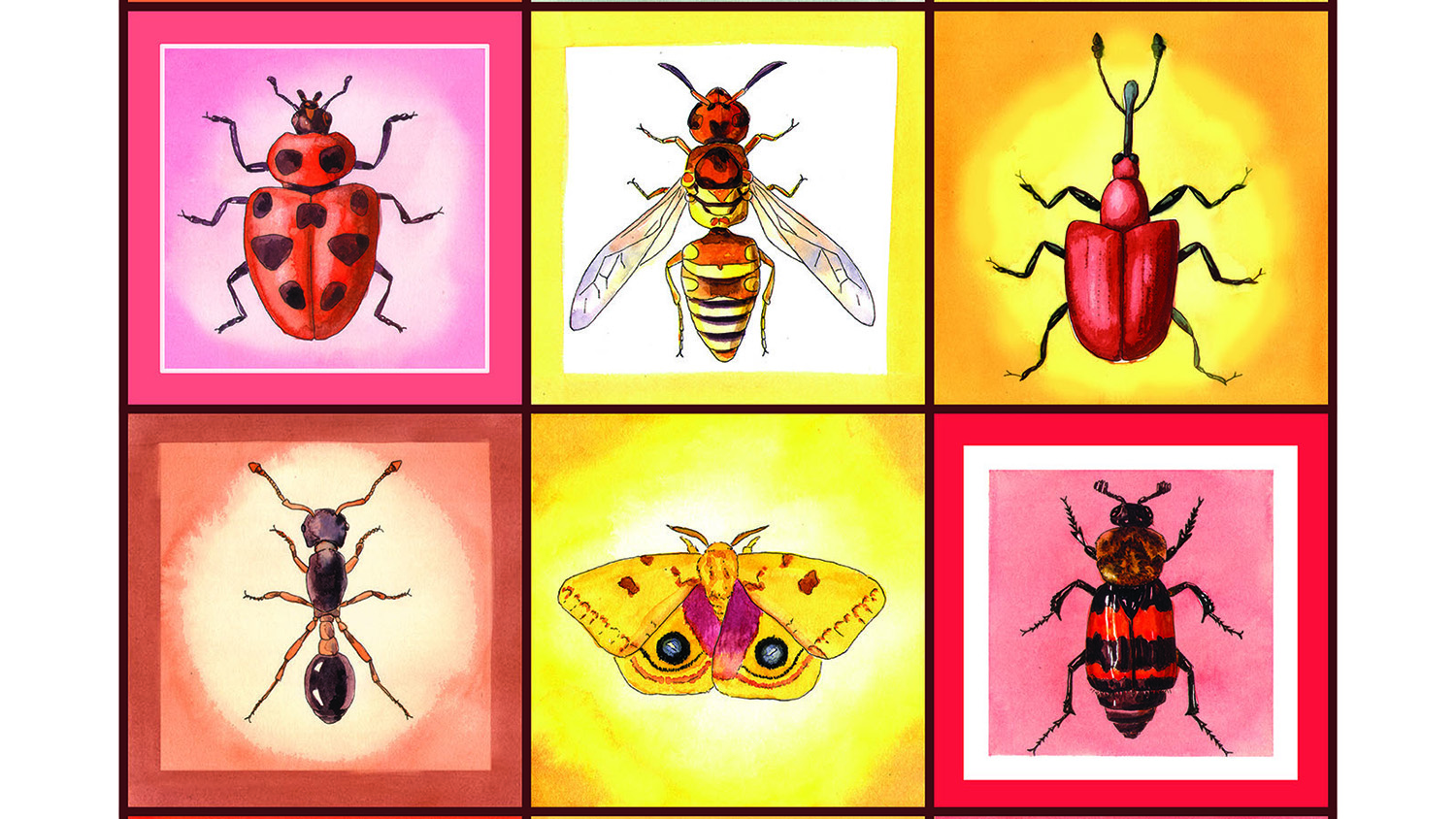 painting of insects