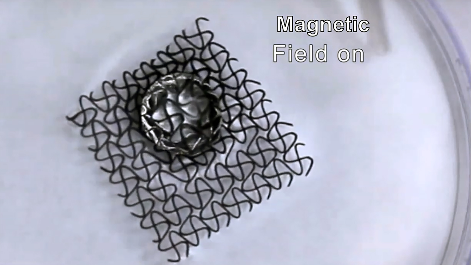 来自显示3-D印刷磁性水分配器的视频的静止图像。