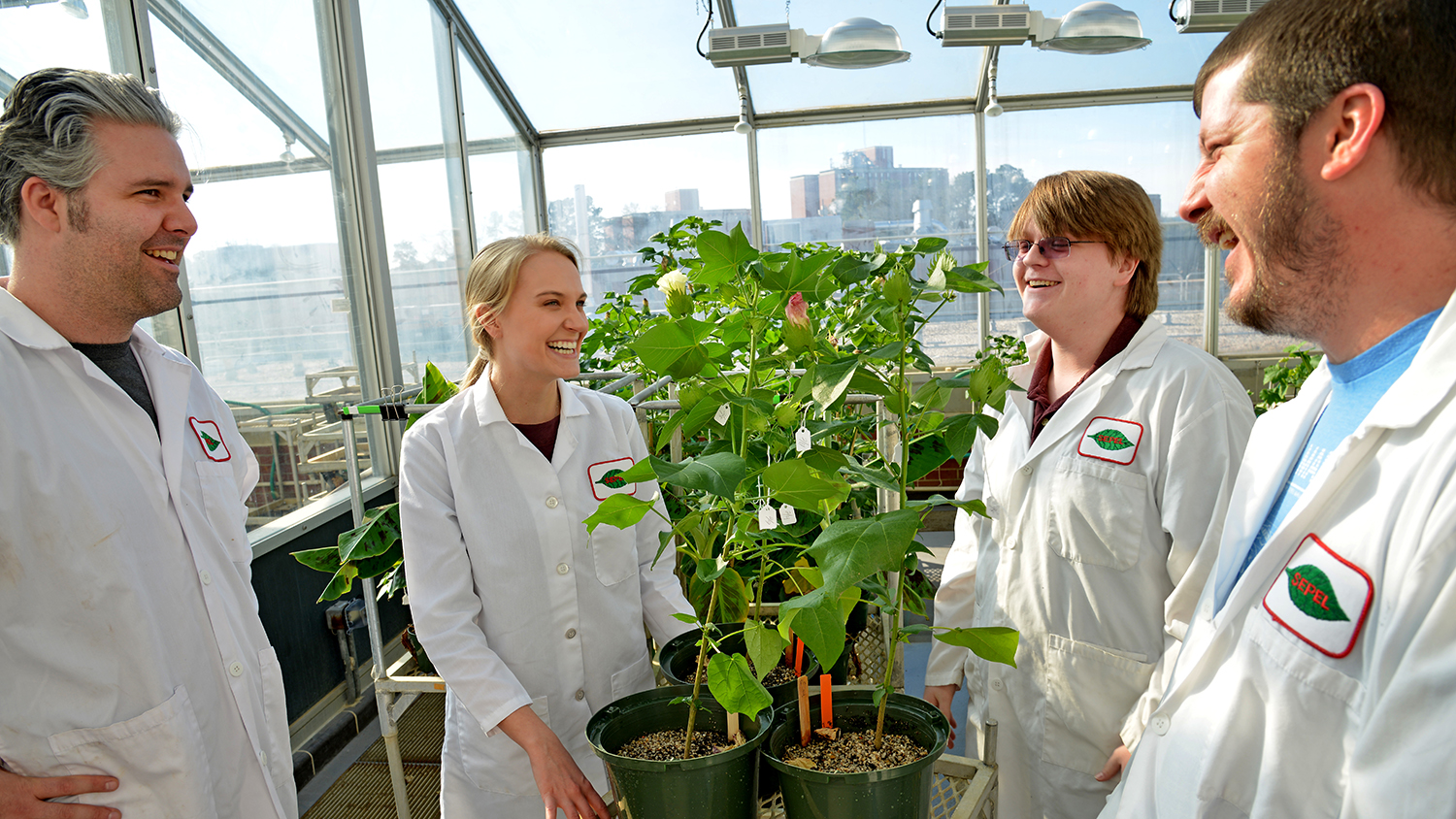 学生在植物温室进行研究。