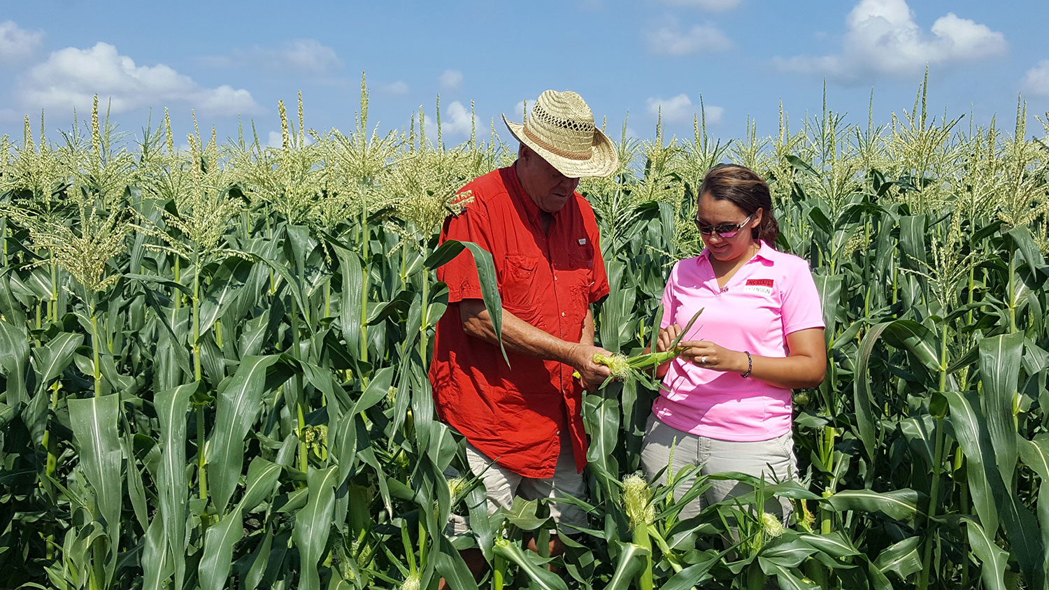 一男一女在玉米地里检查玉米