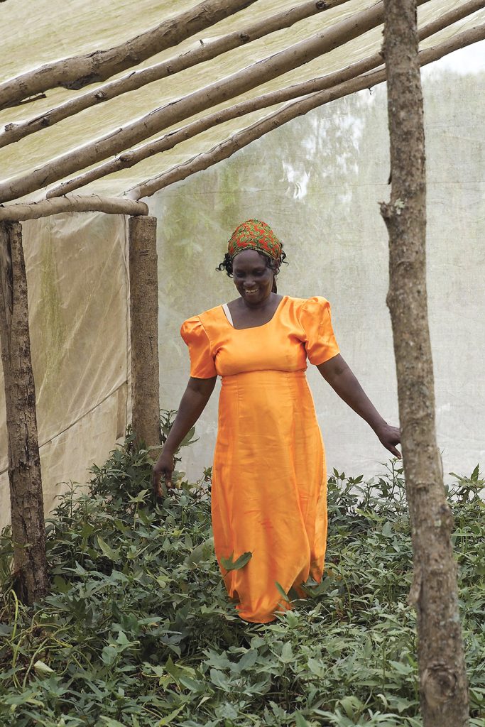 乌干达，一名身着橙色服装的妇女站在温室里。