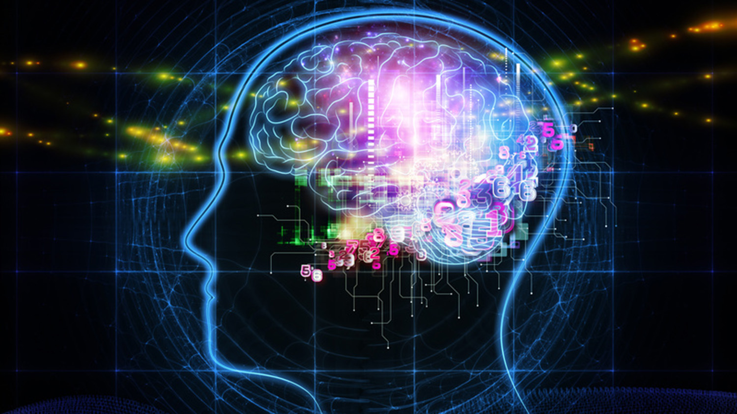 大脑形状的电线和数字