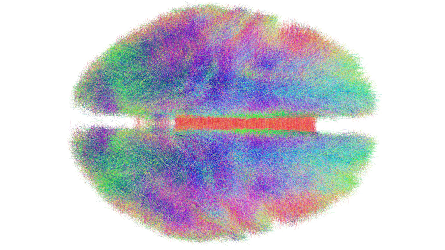 大脑中连接的多彩原理图