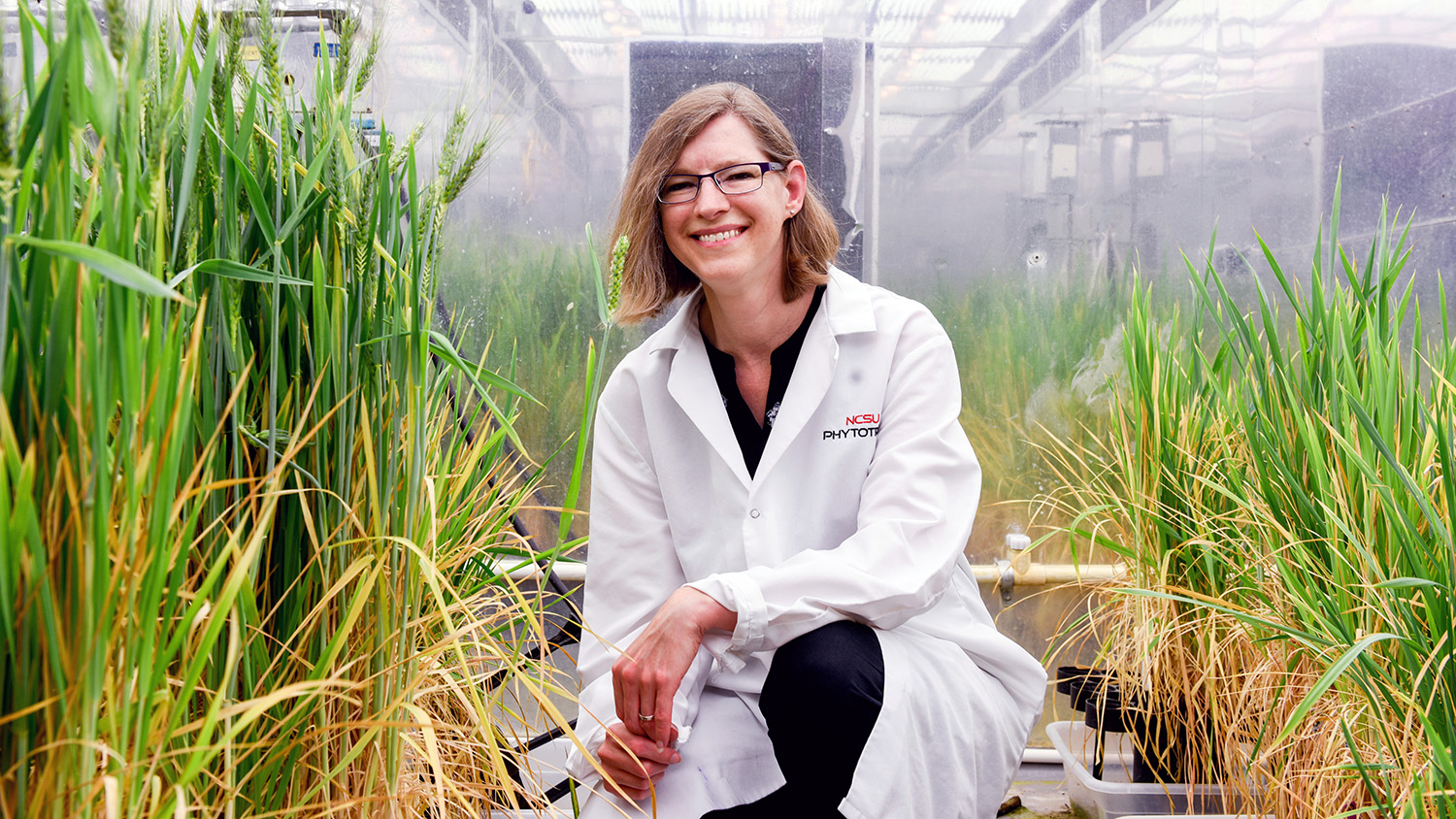艾米·格伦登在北卡罗来纳州立大学植物加速器的照片。