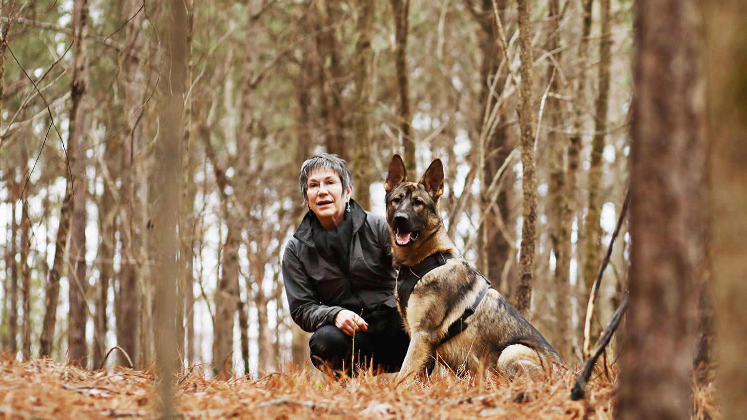 森林里，一个女人蹲在一只坐着的德国牧羊犬旁边