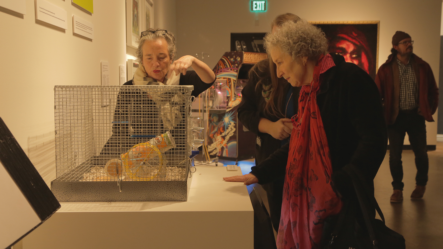 阿特伍德在葛雷格博物馆看一件展品。