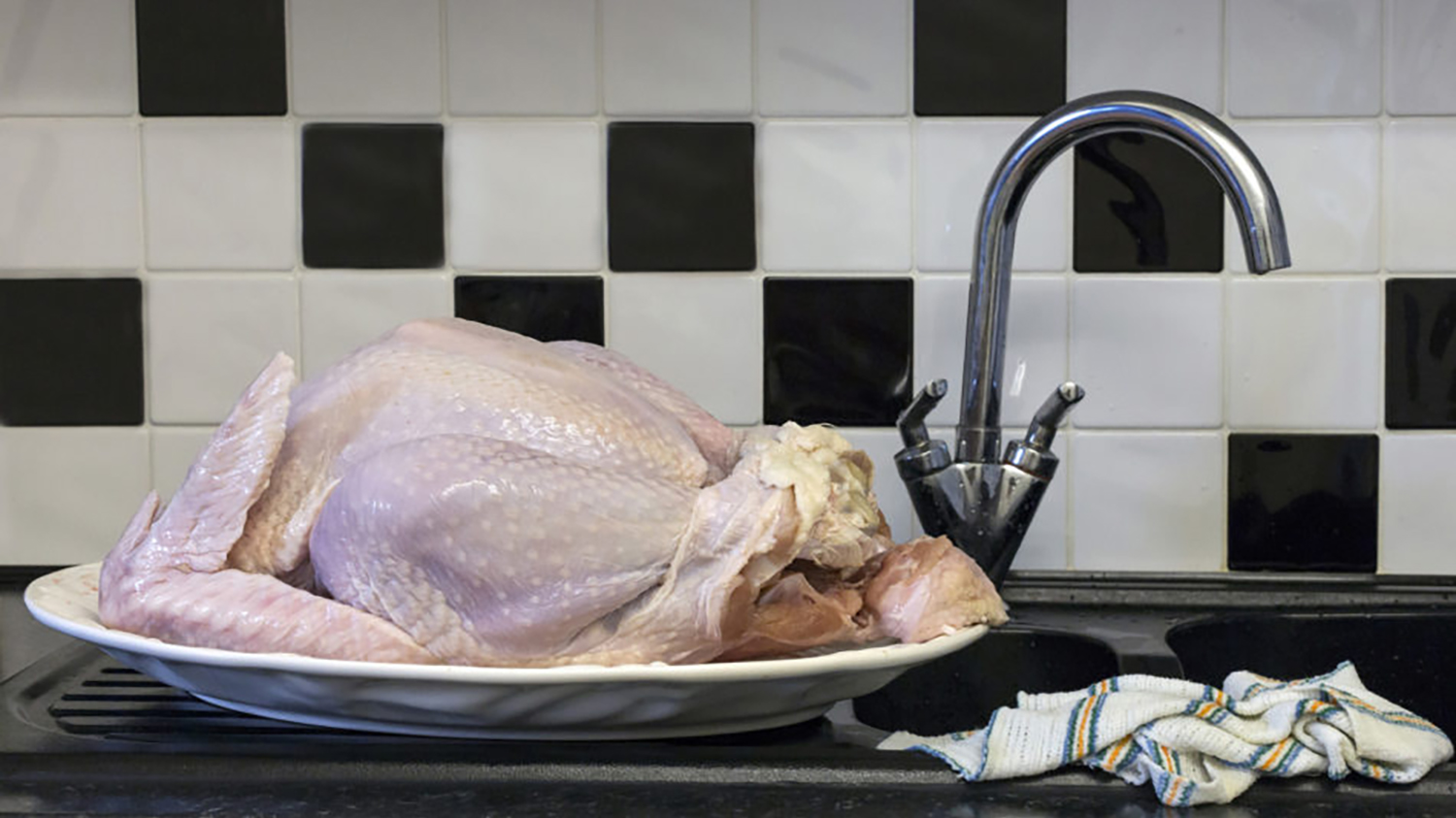 一只生火鸡在水槽旁休息