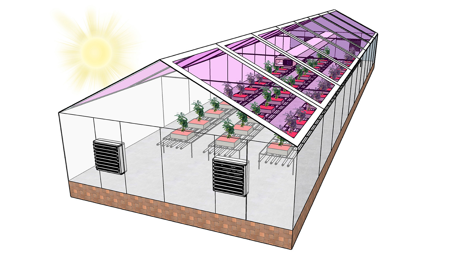 屋顶上有半透明太阳能电池板的温室图。