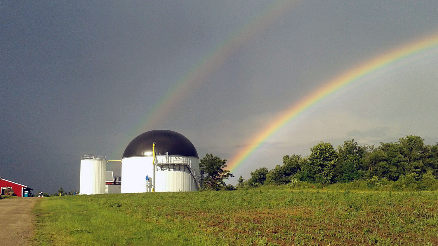 厌氧消化在一个奶牛农场与彩虹的背景