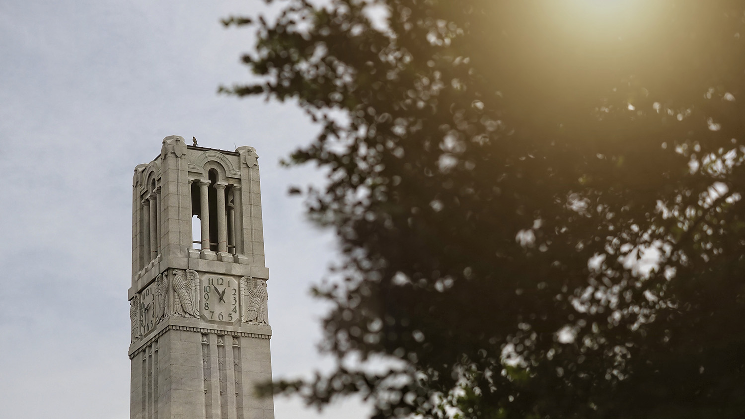 从春天的花朵中可以看到钟楼。