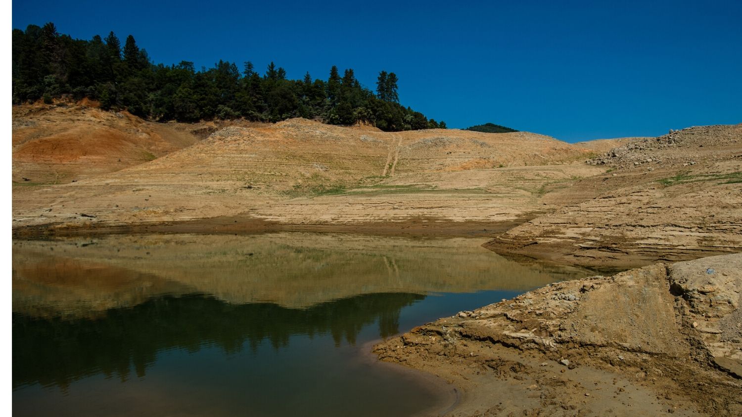 沙斯塔湖在干旱的加利福尼亚。