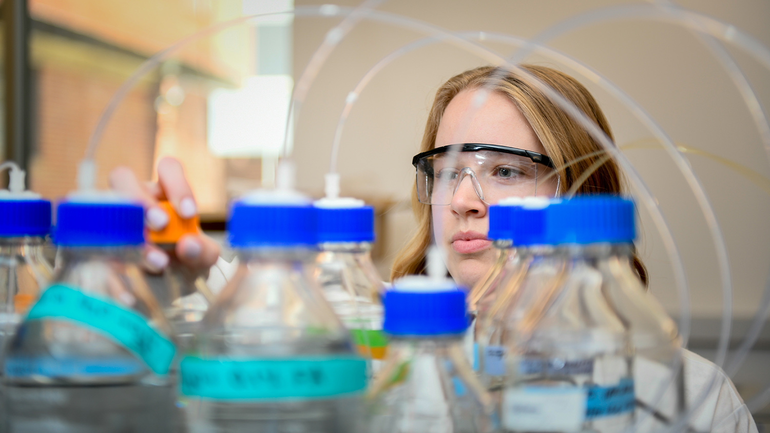 研究生凯莉·柯克伍德在皮尔斯实验室工作，瓶子和管子在前景中