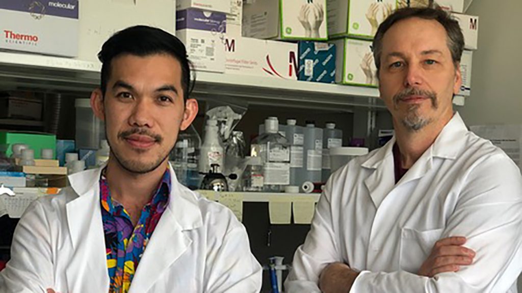 Thom LaBean和博士后Abhichart Krissanaprasit穿着白大褂站在他们的实验室里。