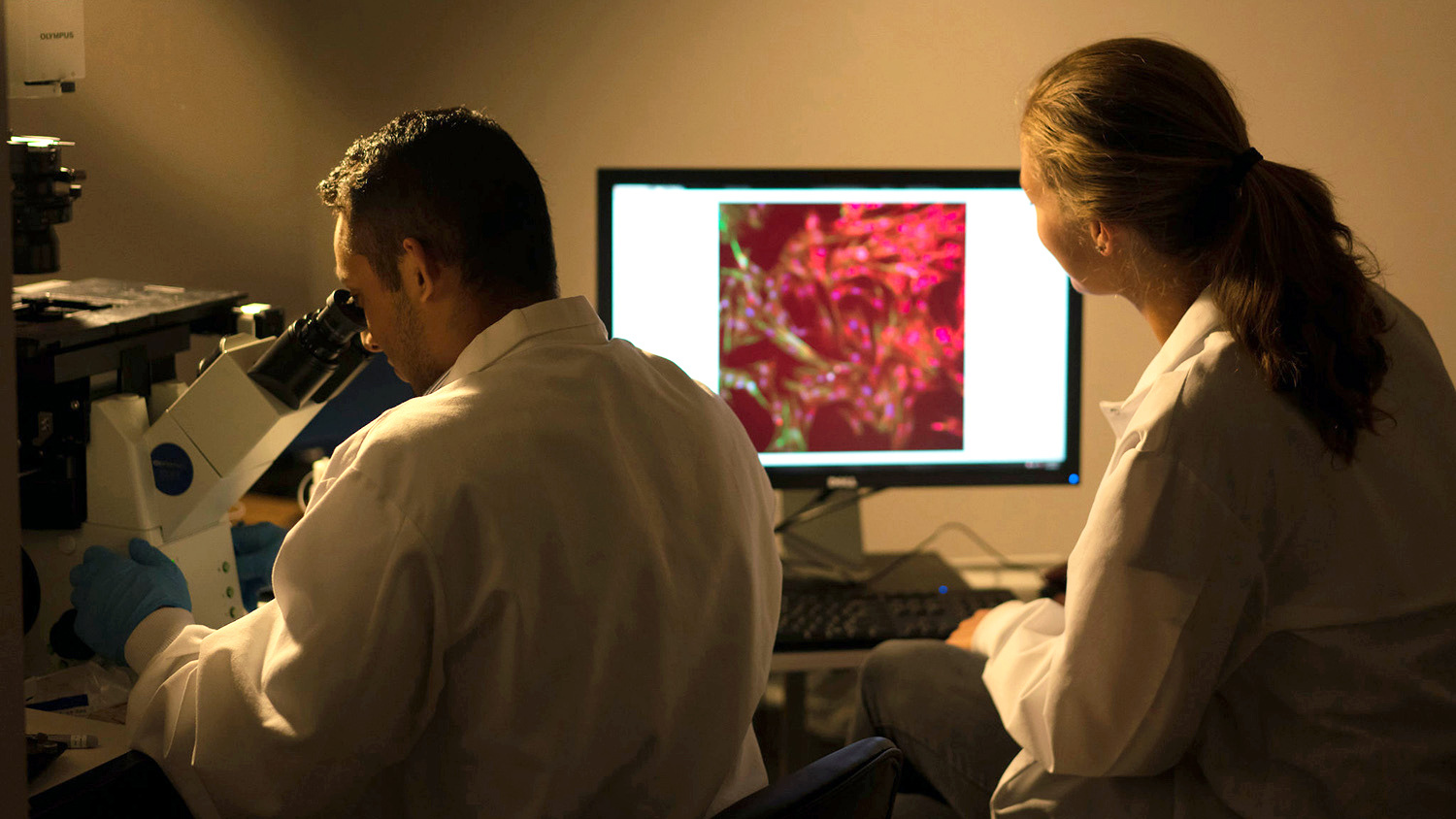 在黑暗的实验室里，两名研究人员在显微镜下和屏幕上观察样本