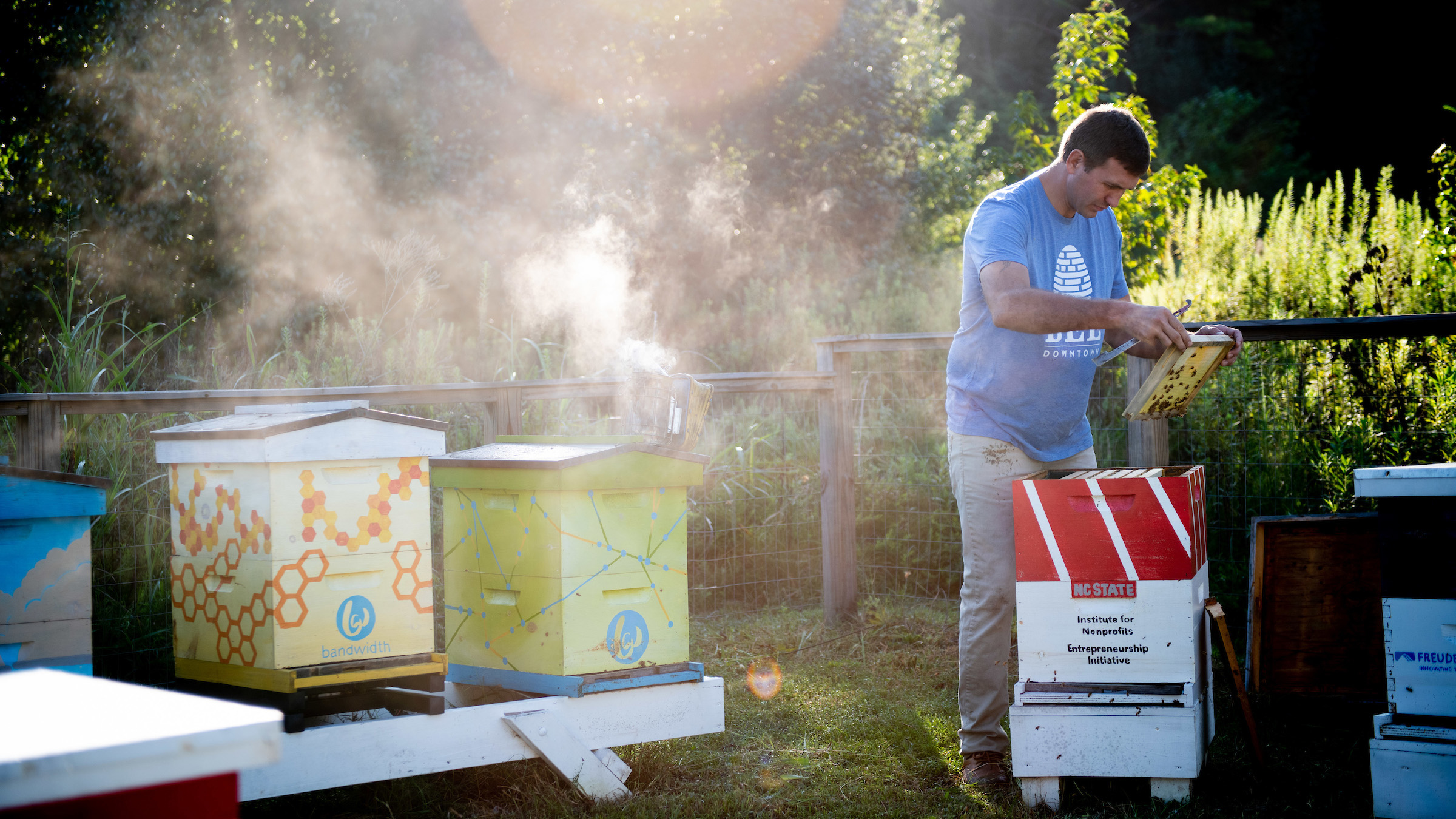 Bandwidth赞助了Bee Downtown在百年校园的社区养蜂场，那里有15000只蜜蜂。
