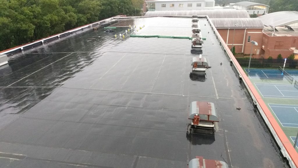 Carmichael Gymnasium屋顶